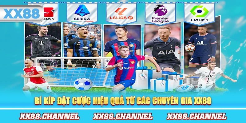 Bí kíp đặt cược hiệu quả từ các chuyên gia XX88