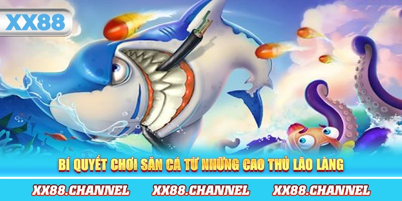 Bí quyết chơi săn cá từ những cao thủ lão làng